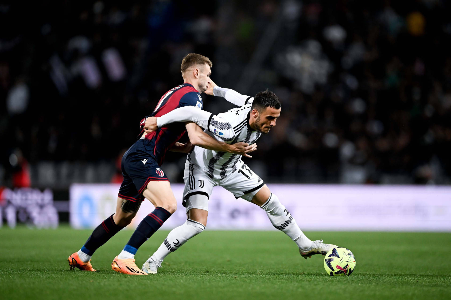 博洛尼亚中场表现出色，助球队赢得比赛