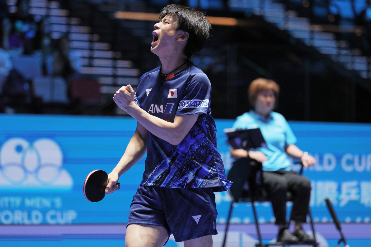 包含英国乒乓球队横扫波兰乒乓球队，张本智和高光表现的词条