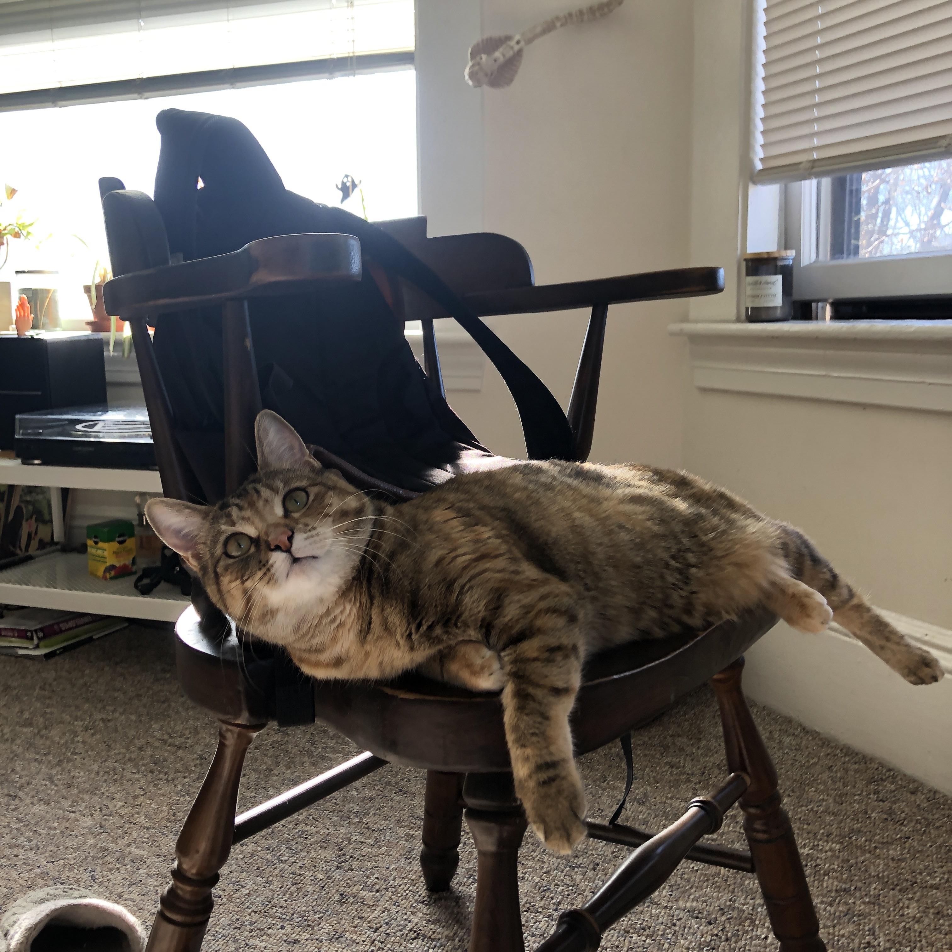 王牌对王牌,保罗末节决胜,掘金团队压制辽宁