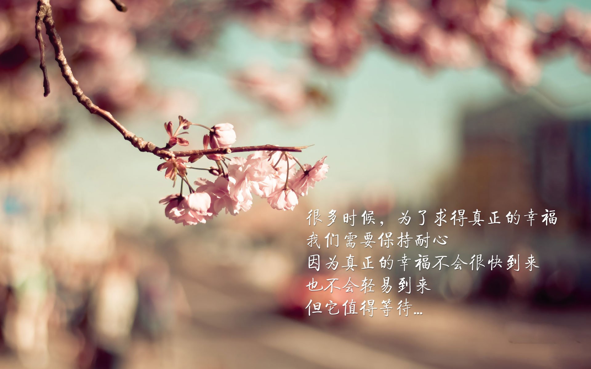 克莱·汤普森，从三分雨到引擎轰鸣，一位篮球巨星的F1争冠时刻