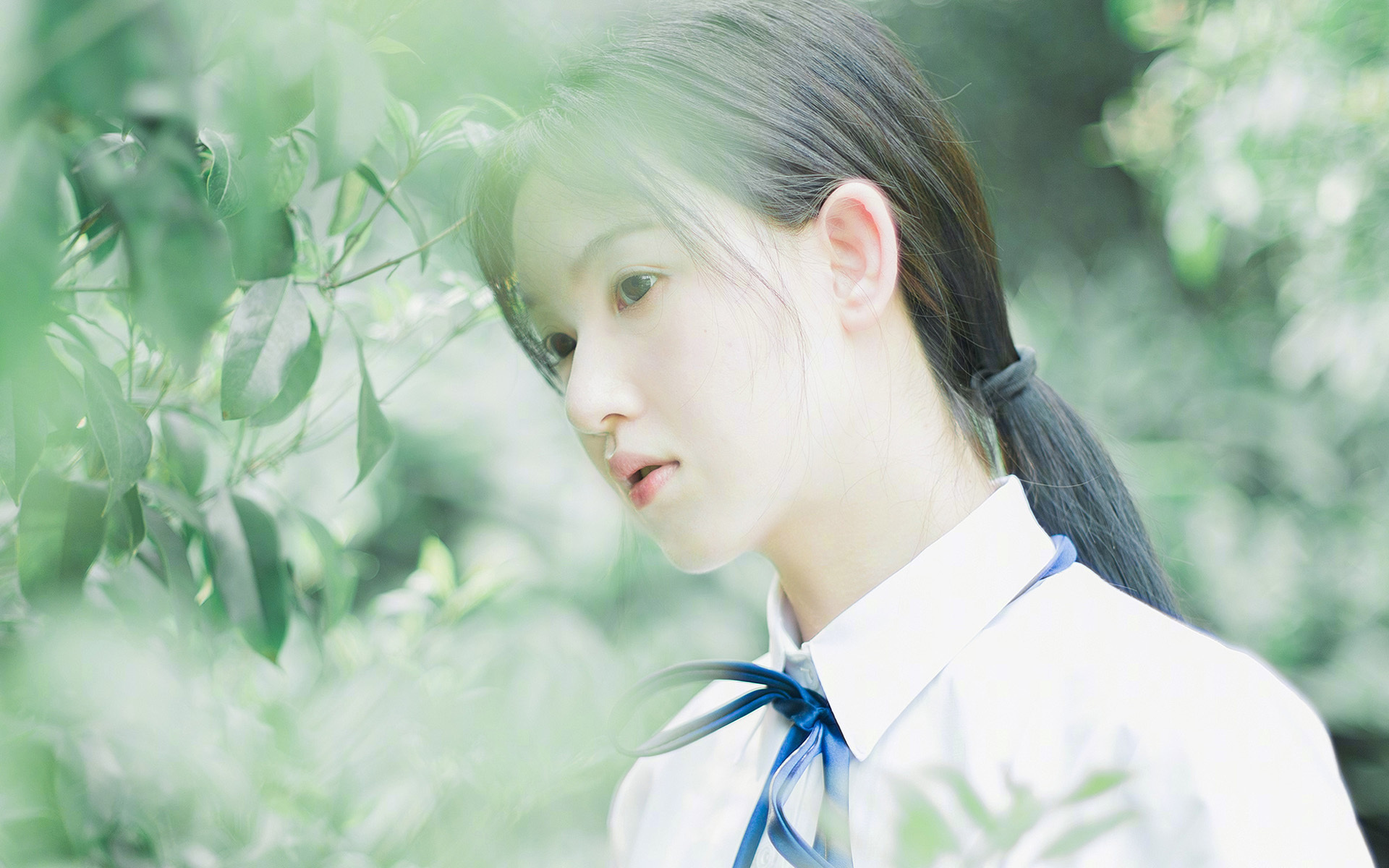 双重交响，当AC米兰的沉稳棋局，遇见赖斯的孤胆冲锋