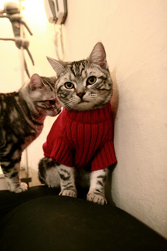 足球与速度的巅峰对决,AC米兰压制荷兰,格列兹曼的F1式赛场统治