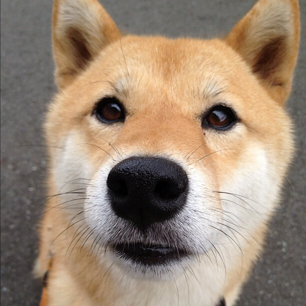 加维利刃出鞘，波兰寒夜，一位关键先生的加时咏叹