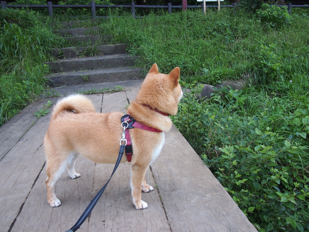 绿茵双城记，德布劳内艺术中场重燃蓝月，摩纳哥青春风暴曾让南大王蒙羞
