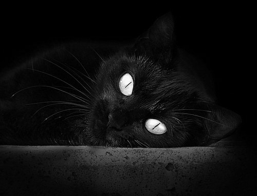 斩将夺旗！快船淘汰赛险胜猛龙，杰伦格林末节接管成关键先生