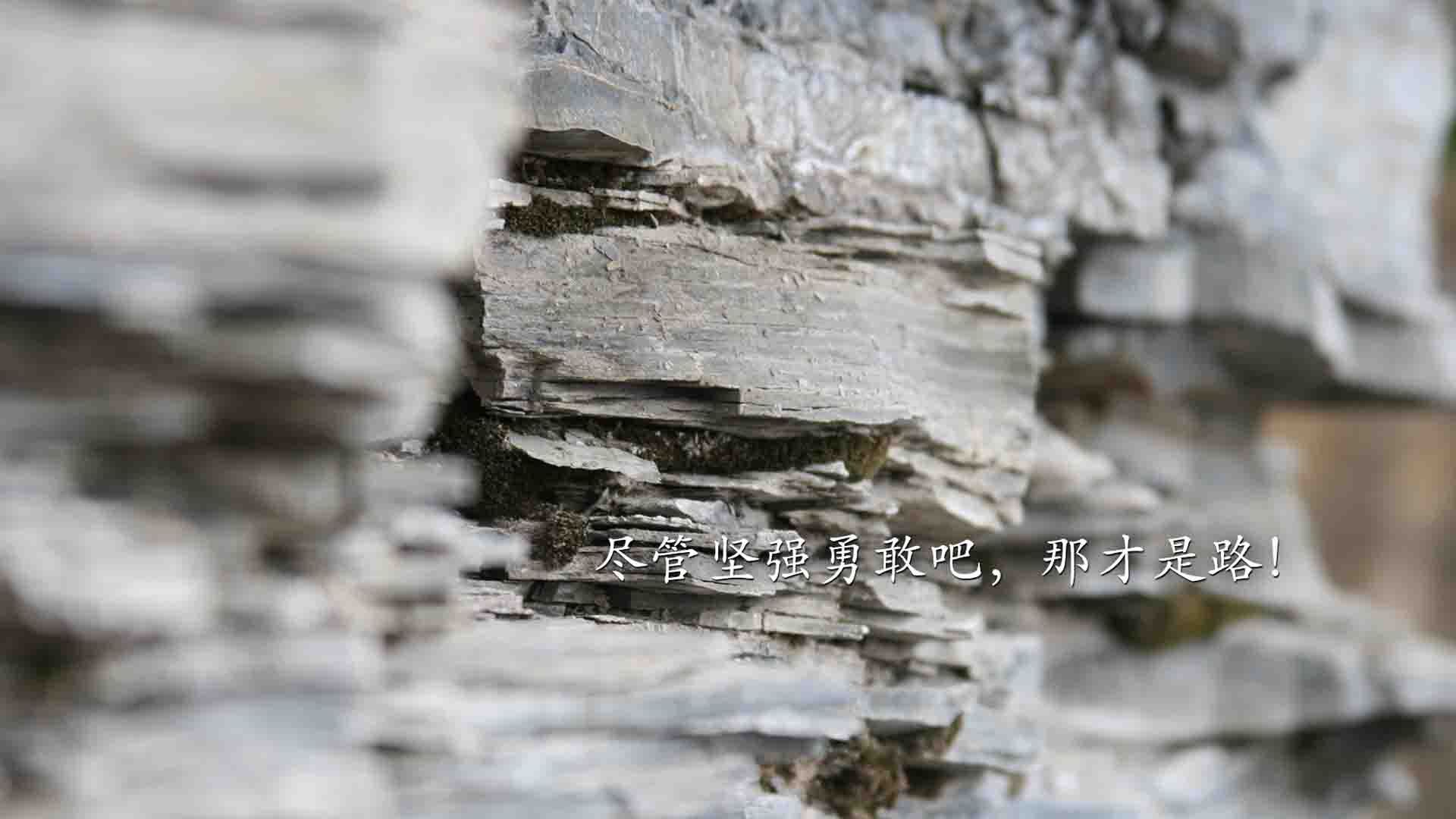 开云体育官网-冰火救赎，当克莱重回赛场，活塞让独行侠看见何为不屈