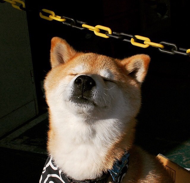 开云体育入口-撕裂暗夜的光刃与沉默的铁壁，久保建英的爆发与尼日利亚的战术完封