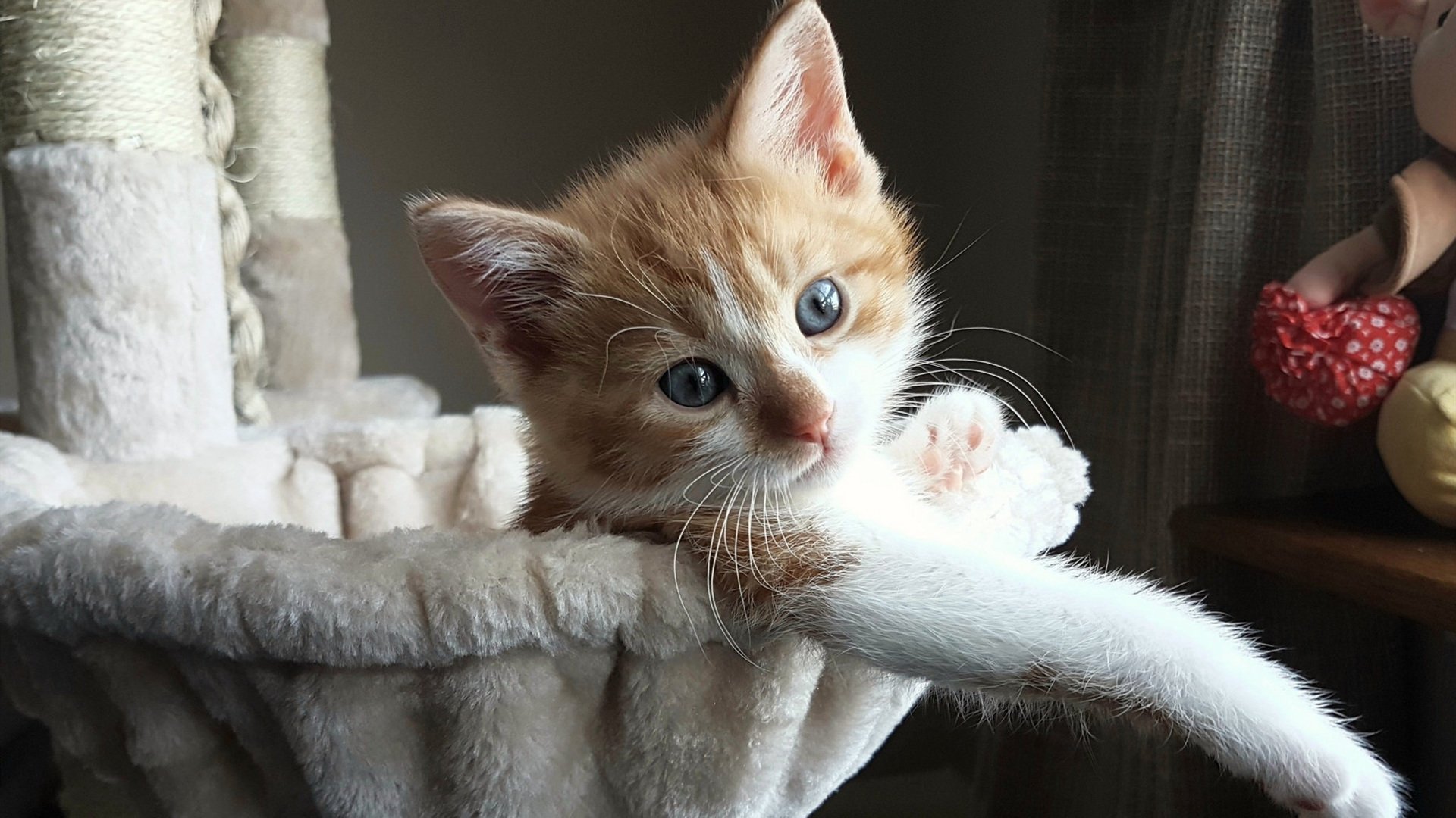 跨界风暴，曼联连胜压制英格兰，内马尔F1争冠接管赛场